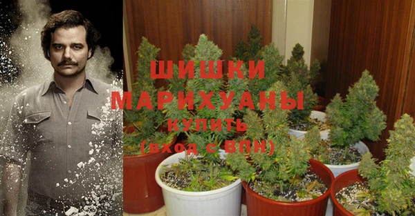 мдма Ельня