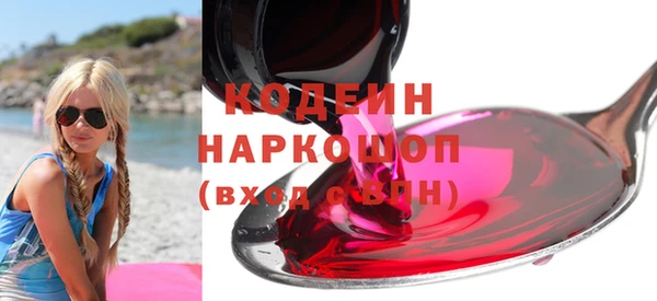 Альфа ПВП Елизово