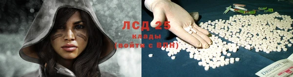 Альфа ПВП Елизово