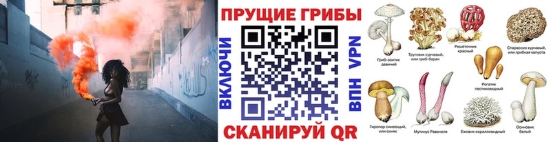 купить наркотик  Удачный  blacksprut ONION  Псилоцибиновые грибы мицелий 